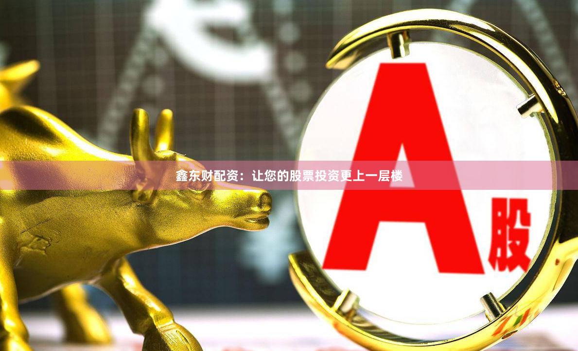 鑫东财配资：让您的股票投资更上一层楼