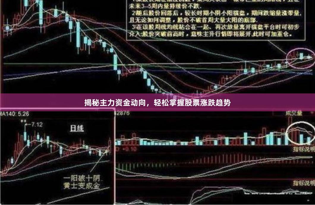 揭秘主力资金动向，轻松掌握股票涨跌趋势