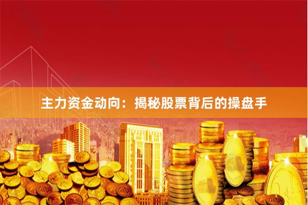 主力资金动向：揭秘股票背后的操盘手