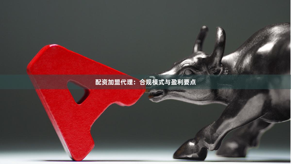 配资加盟代理：合规模式与盈利要点