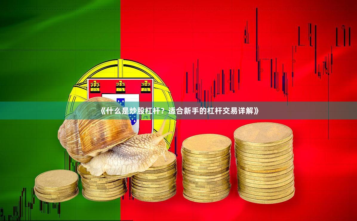《什么是炒股杠杆？适合新手的杠杆交易详解》