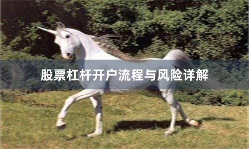 股票杠杆开户流程与风险详解